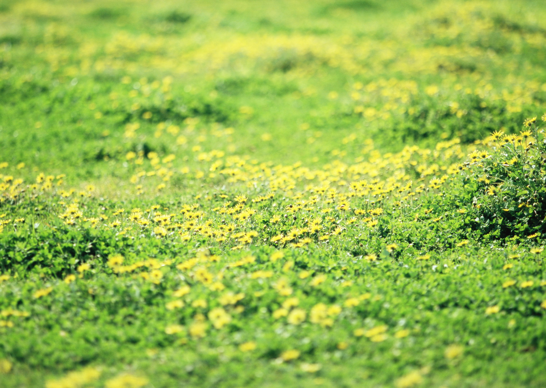 Красивая природа для рабочего стола