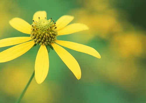 Красивая природа для рабочего стола