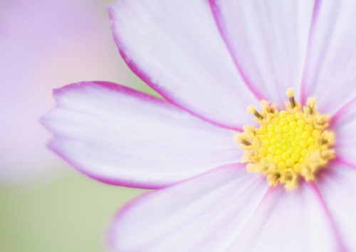 Красивая природа для рабочего стола