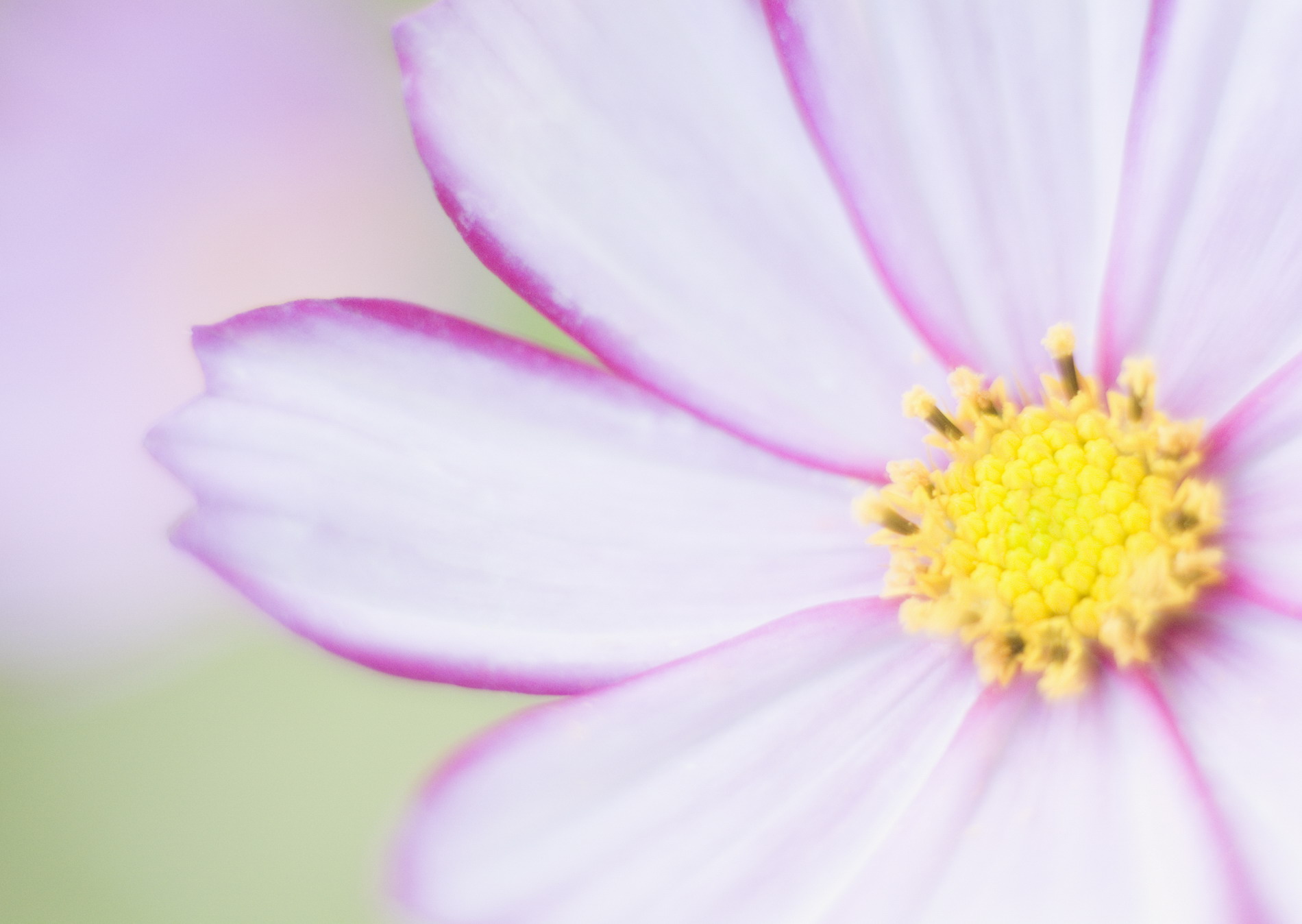 Красивая природа для рабочего стола