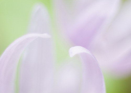 Красивая природа для рабочего стола