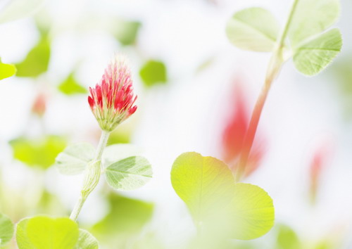 Красивая природа для рабочего стола