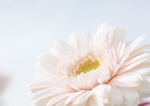 Красивая природа для рабочего стола