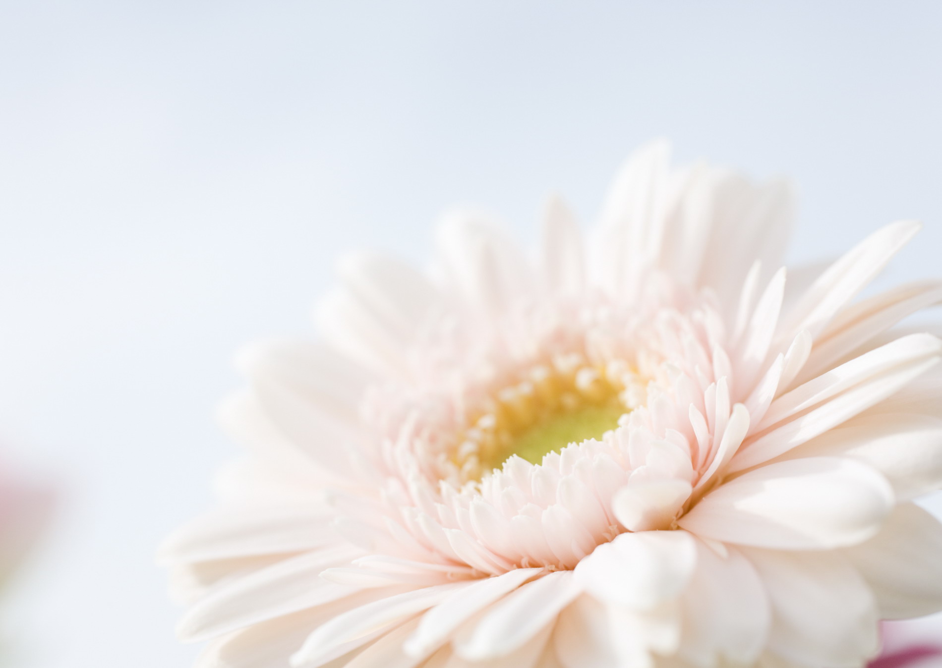 Красивая природа для рабочего стола