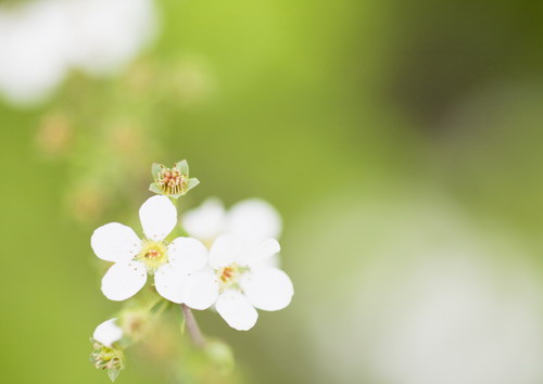 Красивая природа для рабочего стола