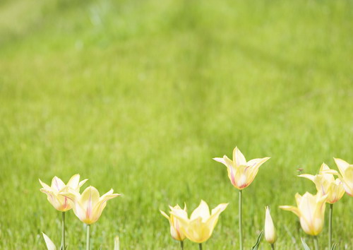 Красивая природа для рабочего стола