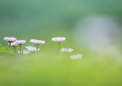 Красивая природа для рабочего стола