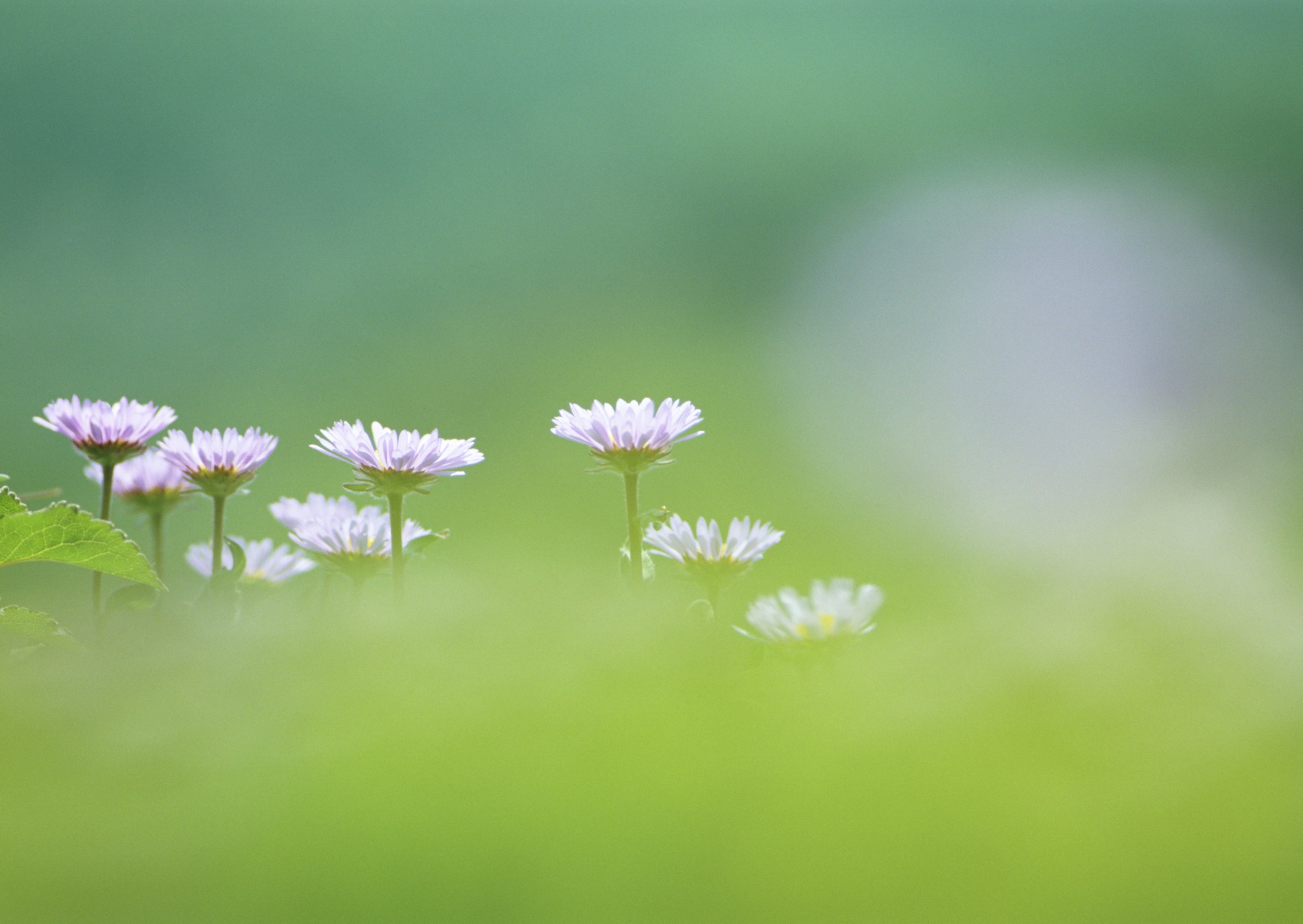 Красивая природа для рабочего стола