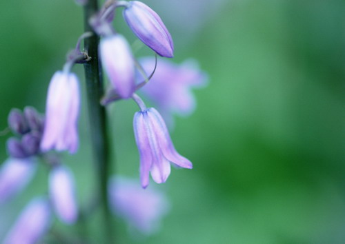 Красивая природа для рабочего стола