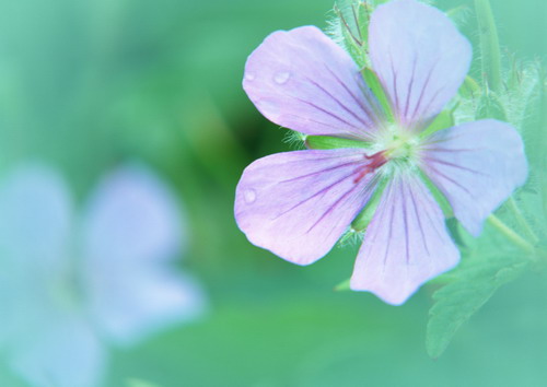 Красивая природа для рабочего стола