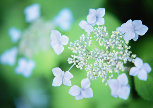 Красивая природа для рабочего стола