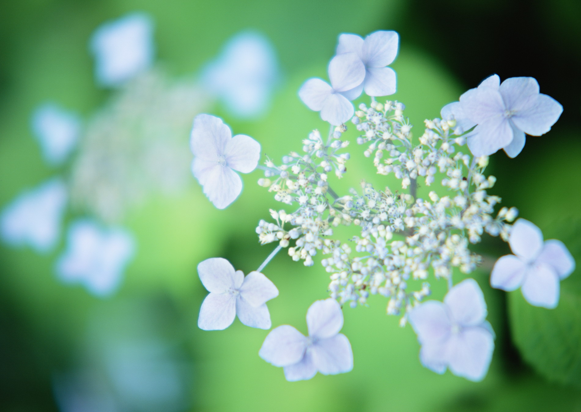 Красивая природа для рабочего стола