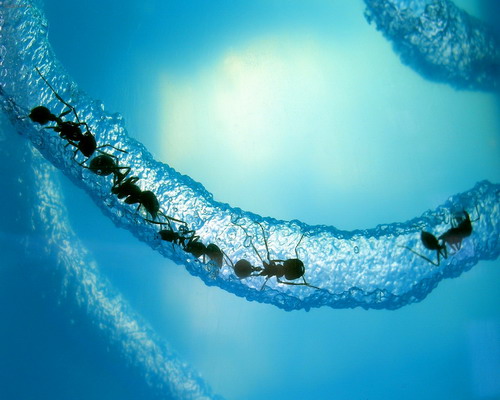 Очень красивые обои