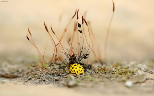 Очень красивые обои