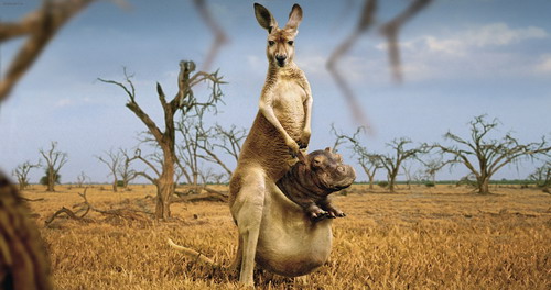 Очень красивые обои