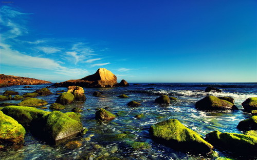 Очень красивые обои