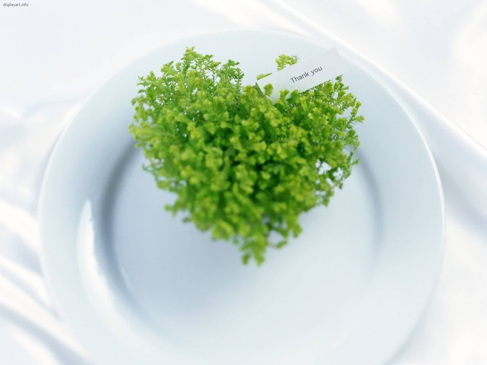 Очень красивые обои