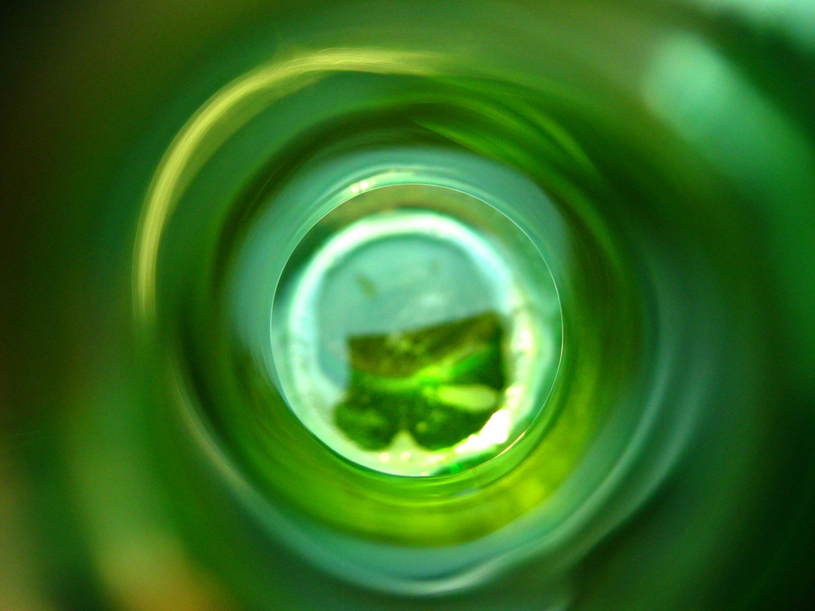 Цветы и не только