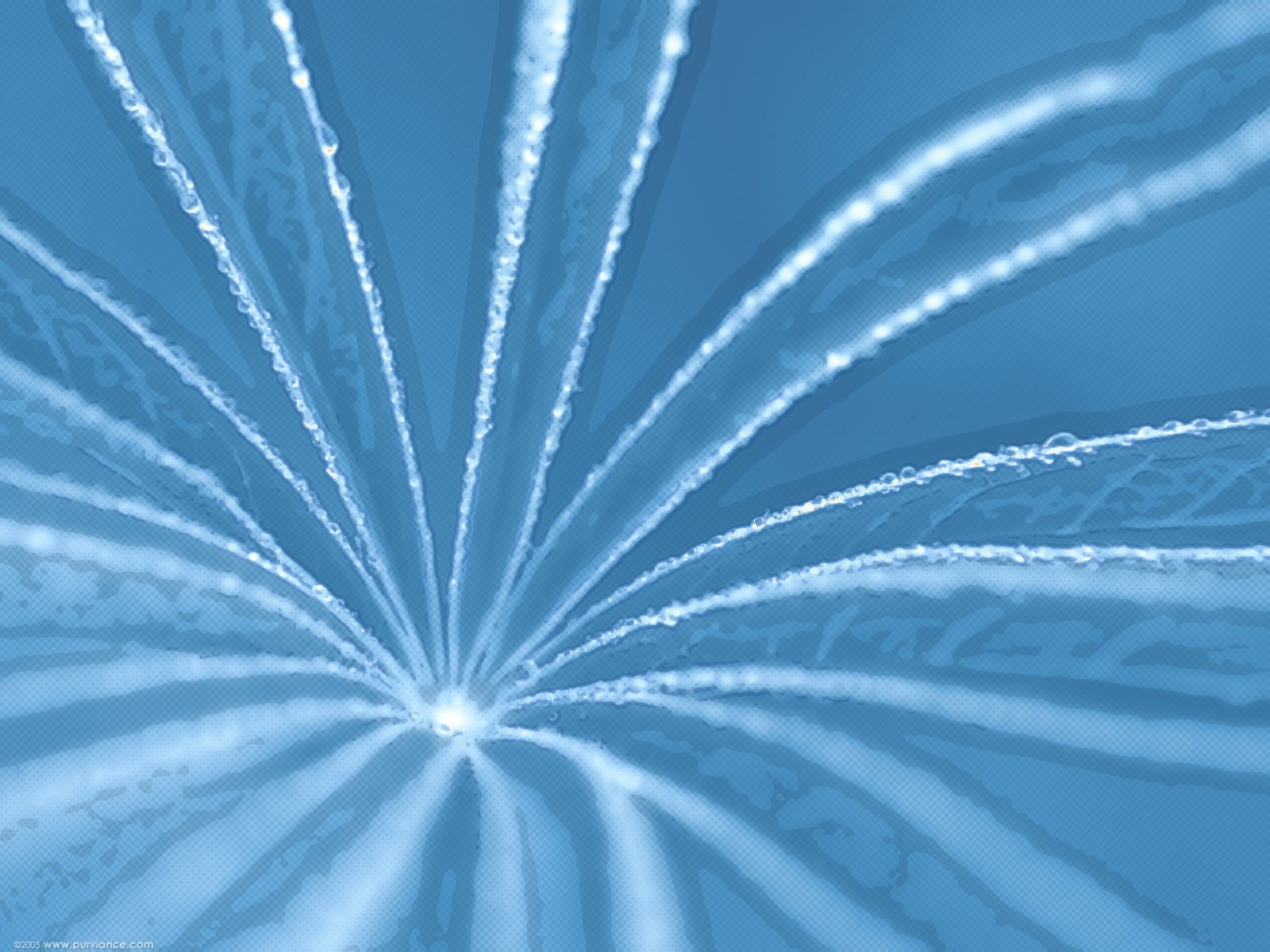 Цветы и не только