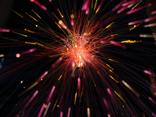 Цветы и не только