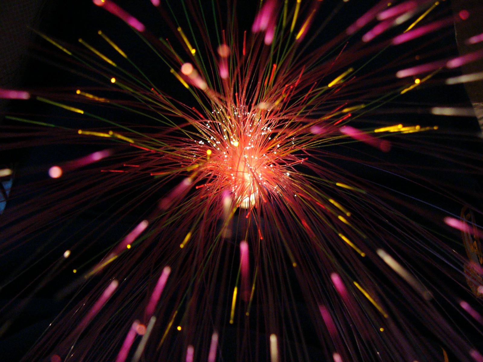 Цветы и не только