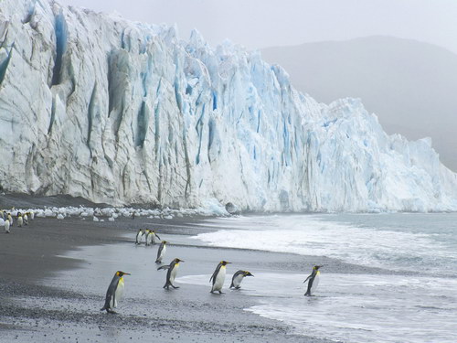 Природа на рабочий стол