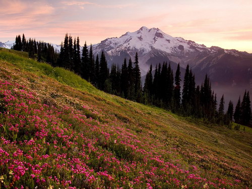 Природа на рабочий стол