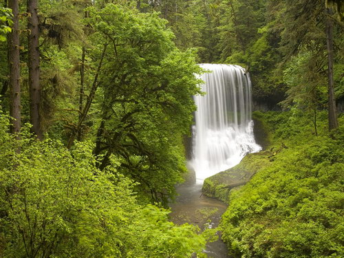 Природа на рабочий стол