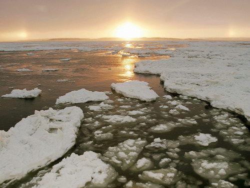 Красивые обои