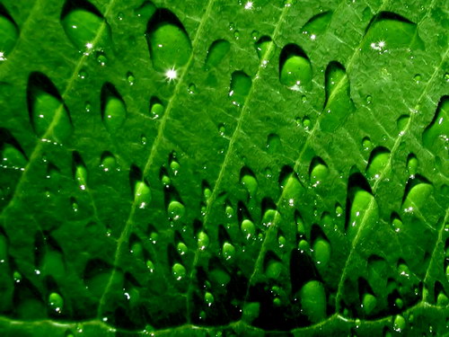 Красивые обои