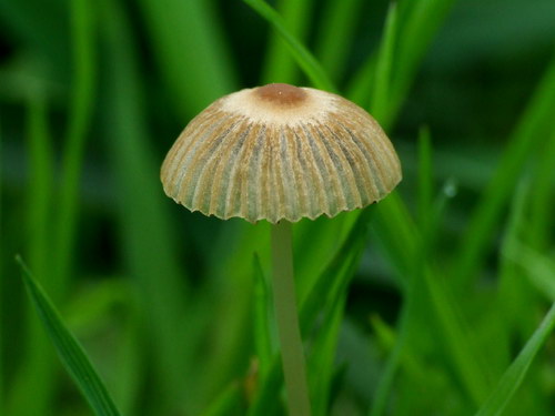 Красивые обои