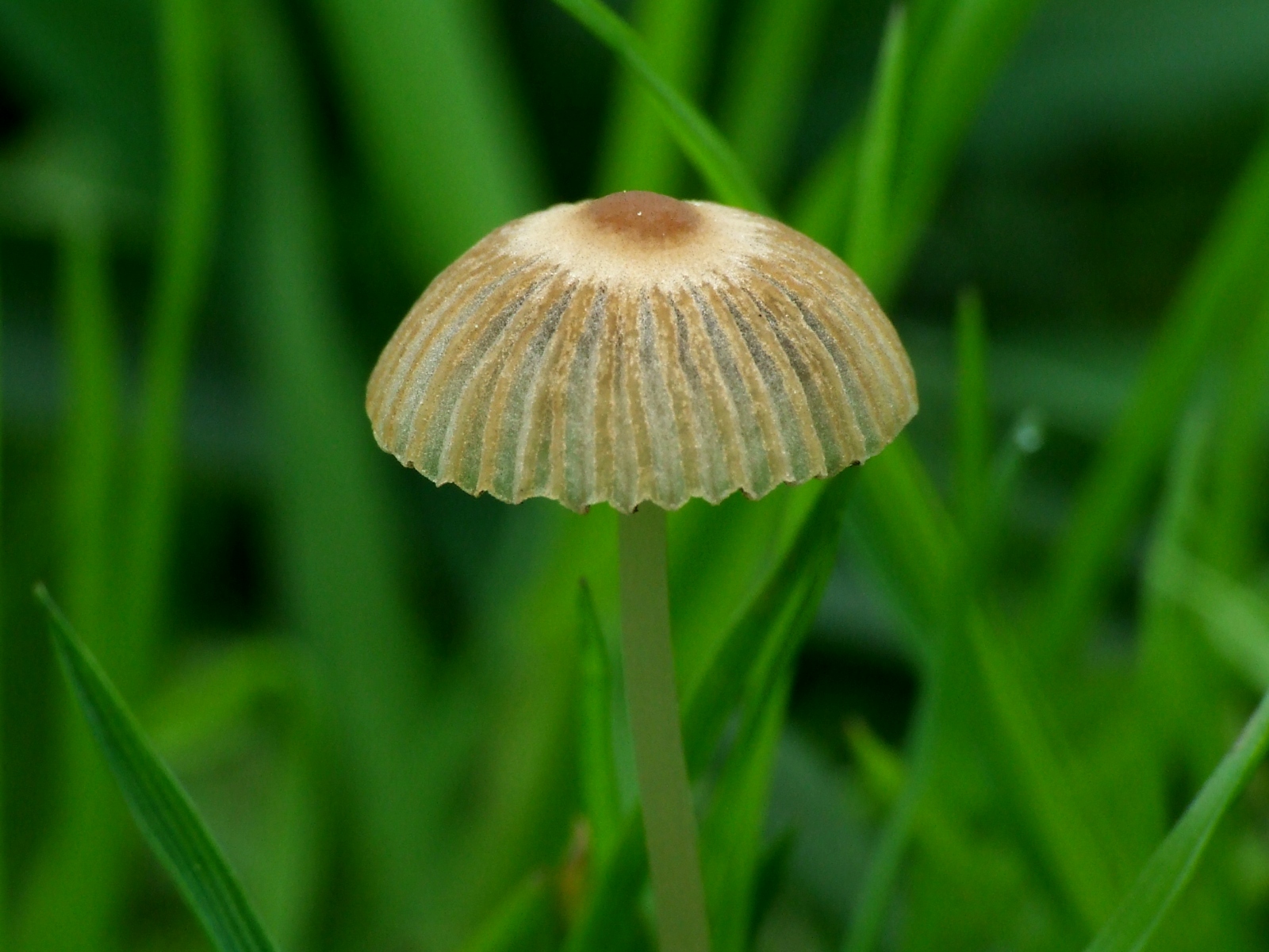 Красивые обои