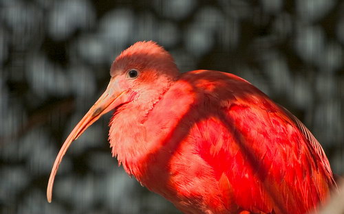 Природа на рабочий стол