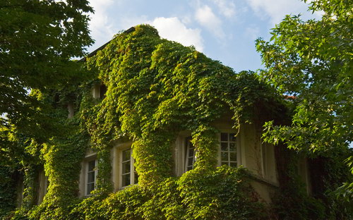 Природа на рабочий стол