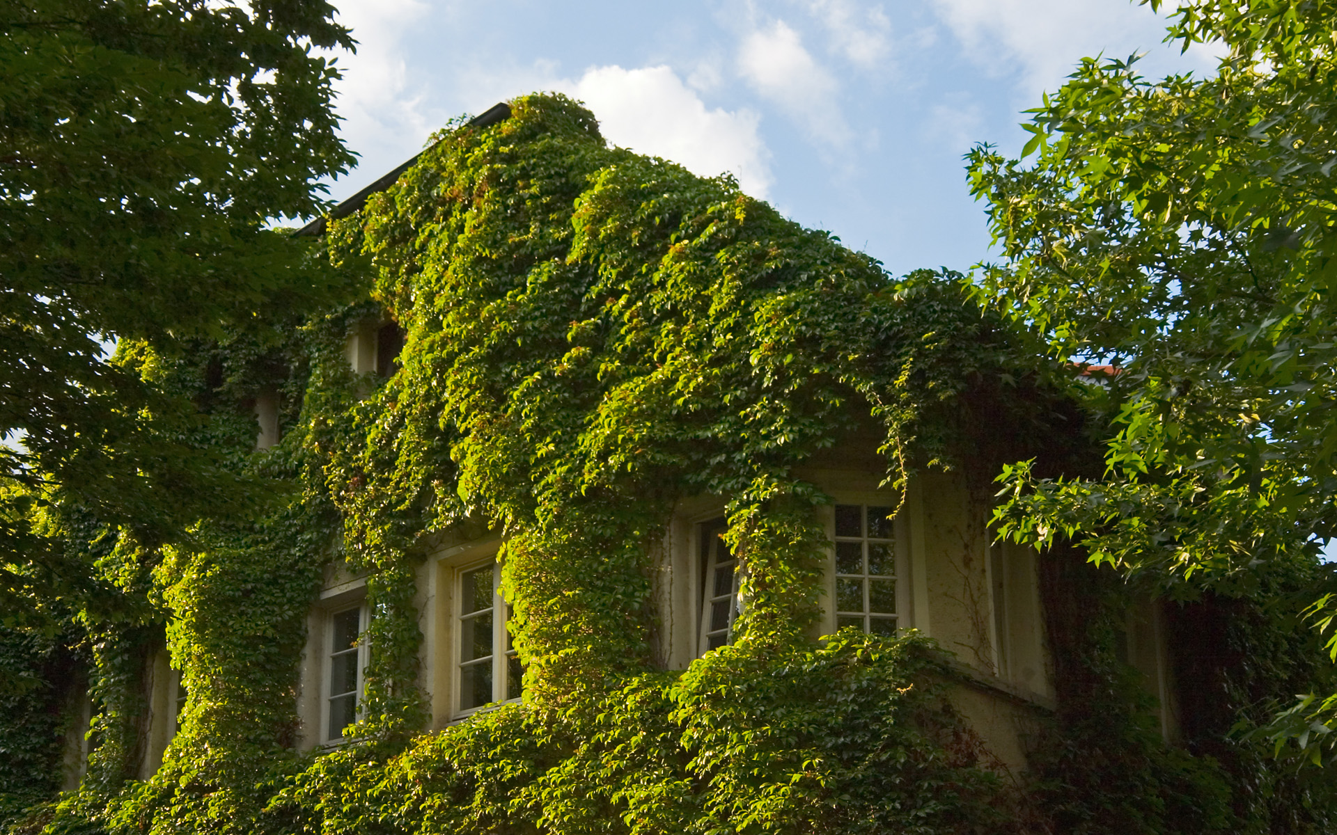 Природа на рабочий стол