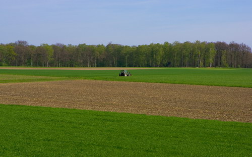 Природа на рабочий стол