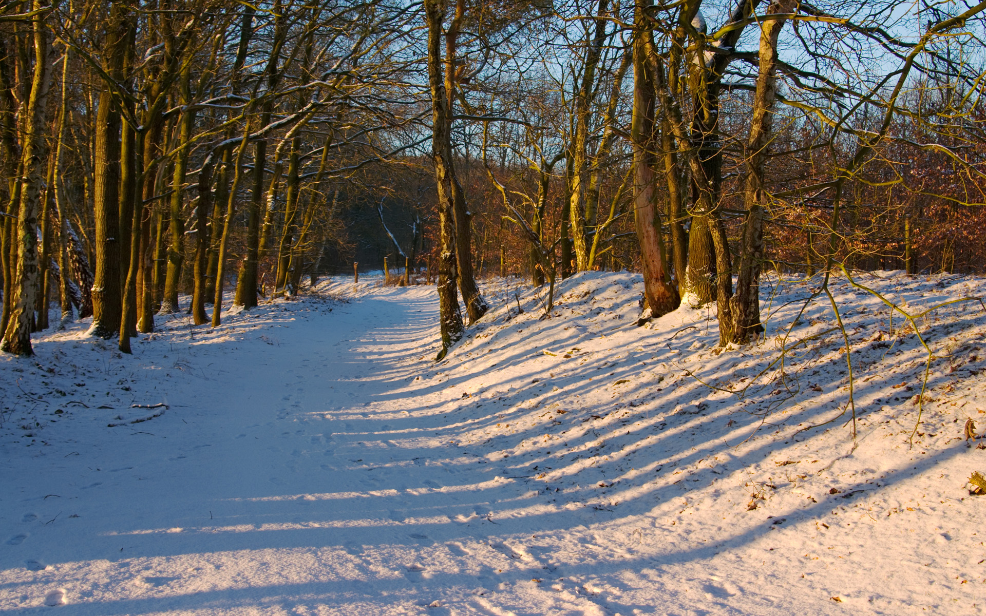 Природа на рабочий стол