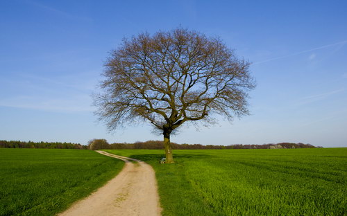 Природа на рабочий стол