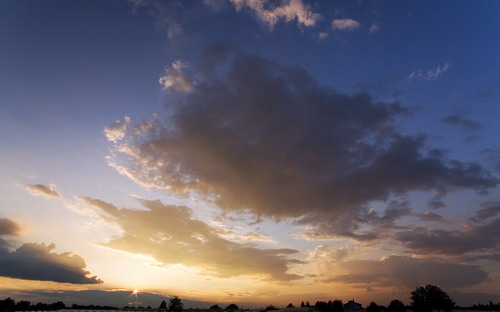 Шикарные обои