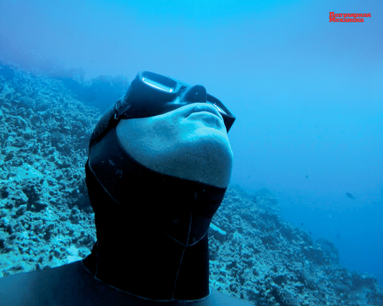 Обои от популярной механики