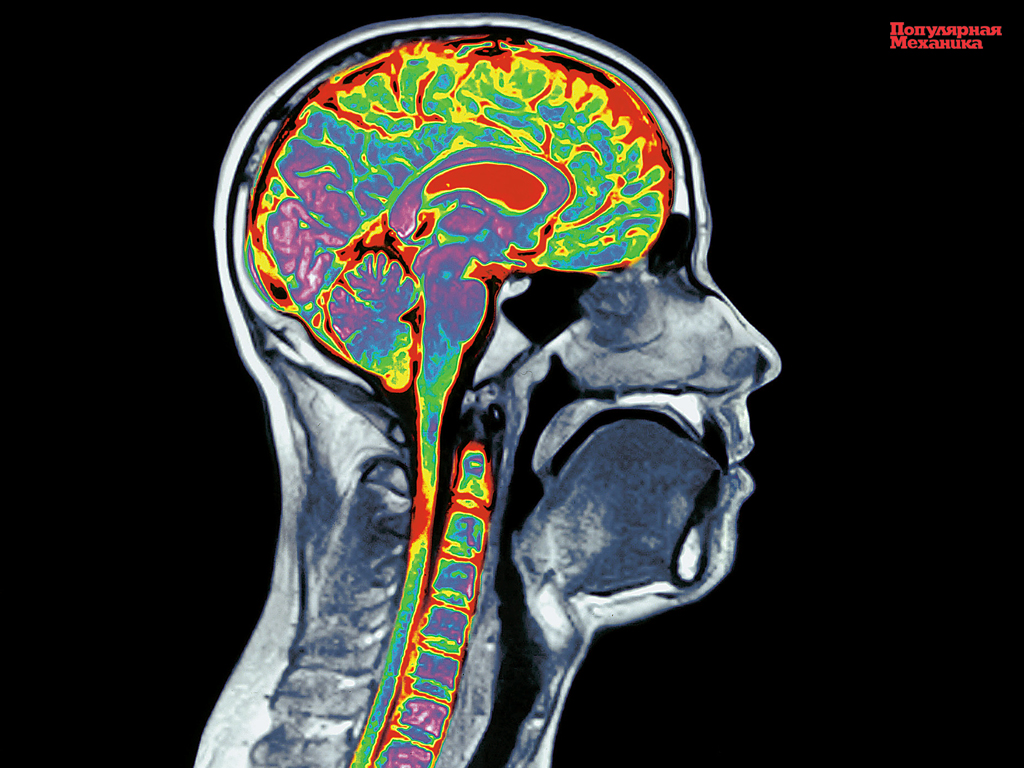 Обои от популярной механики
