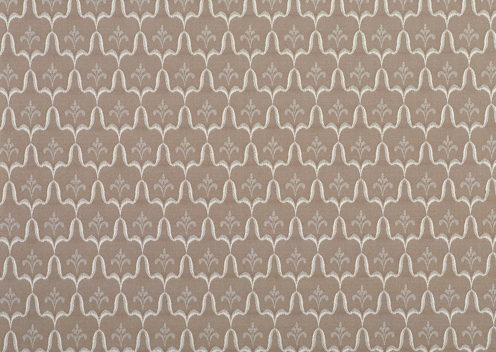 Обои с изображением обоев