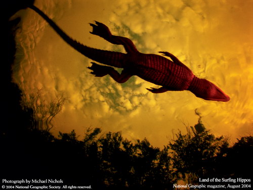 Подводные обои