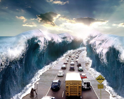 Коллекция обоев