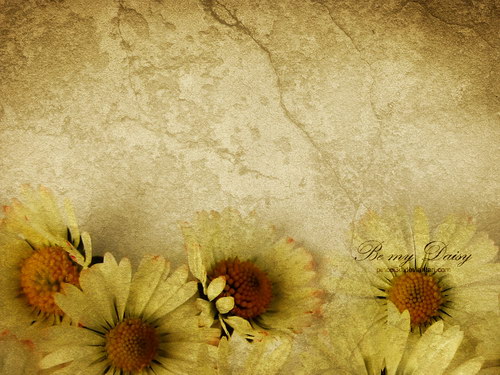 Коллекция обоев