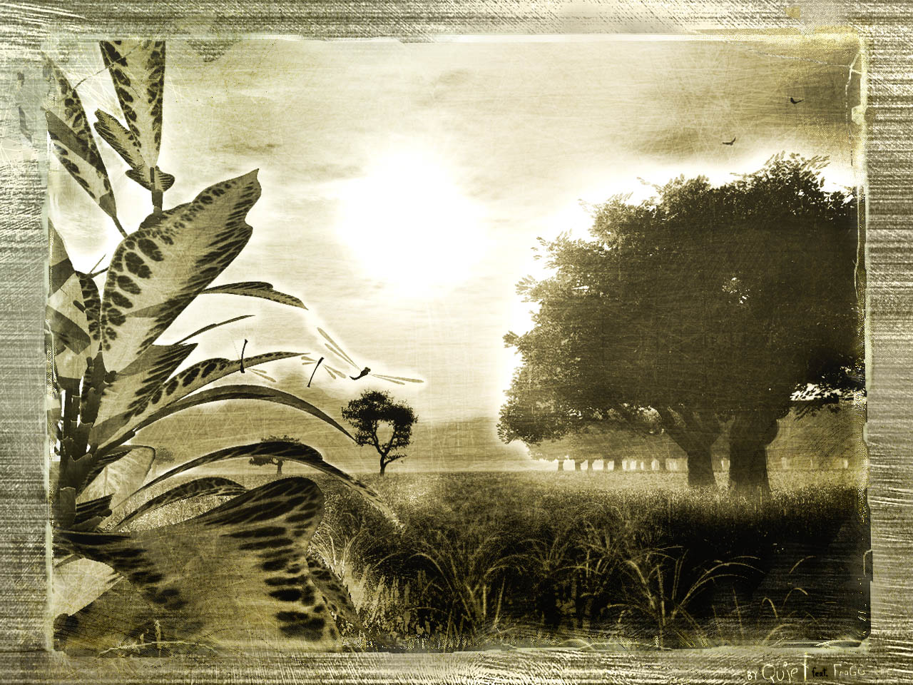 Коллекция обоев