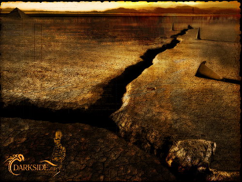 Коллекция обоев