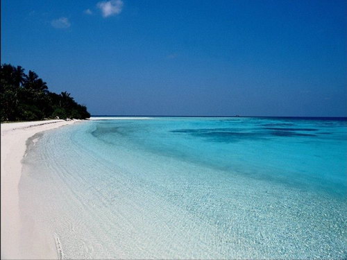 Летняя тема