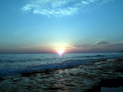 Летняя тема