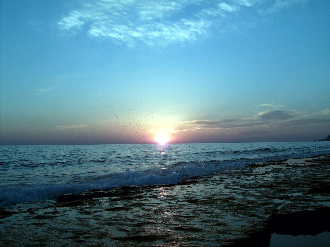 Летняя тема